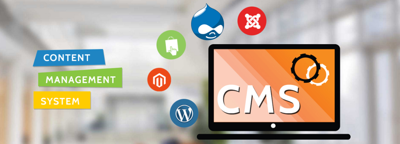 Affordable CMS Website Design Packages - Wordpress CMS Website Development